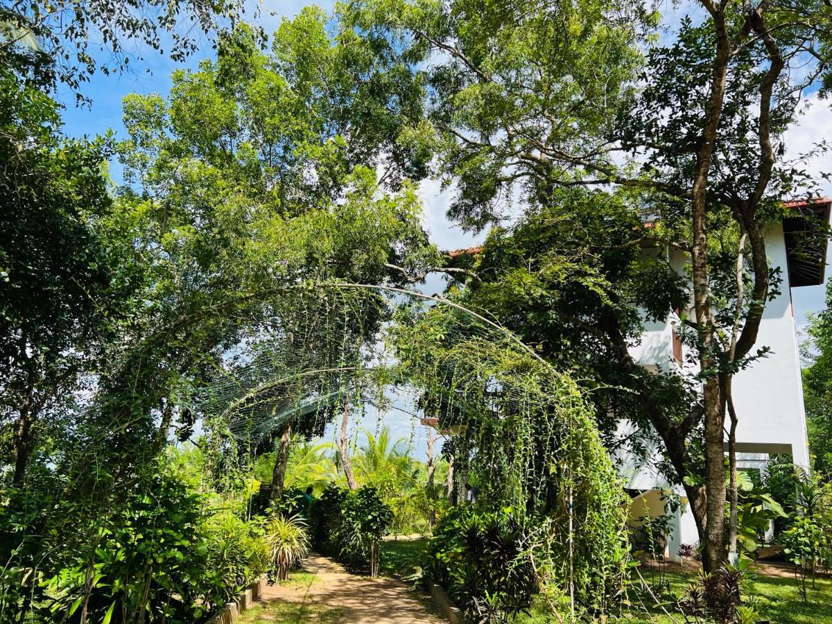 Ashansa Lagoon Resort Tangalle Eksteriør billede